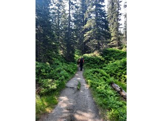 Vakantieappartement Rauris Omgeving 31