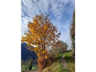 Appartamento per vacanze Rauris Ambiente 38