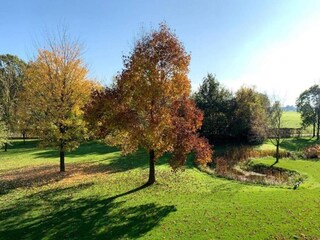 Parco vacanze Hoge Hexel Ambiente 20