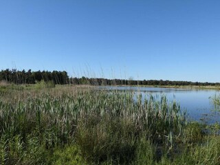 Parc de vacances Hoge Hexel Environnement 24