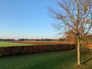 Vakantiepark Hoge Hexel Omgeving 19