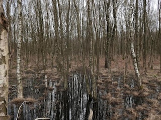 Ferienpark Hoge Hexel Umgebung 22