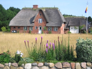 Friesenhaus in Nebel