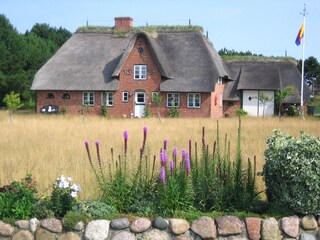 Frisian's house in Nebel