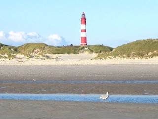 Leuchtturm im Sommer