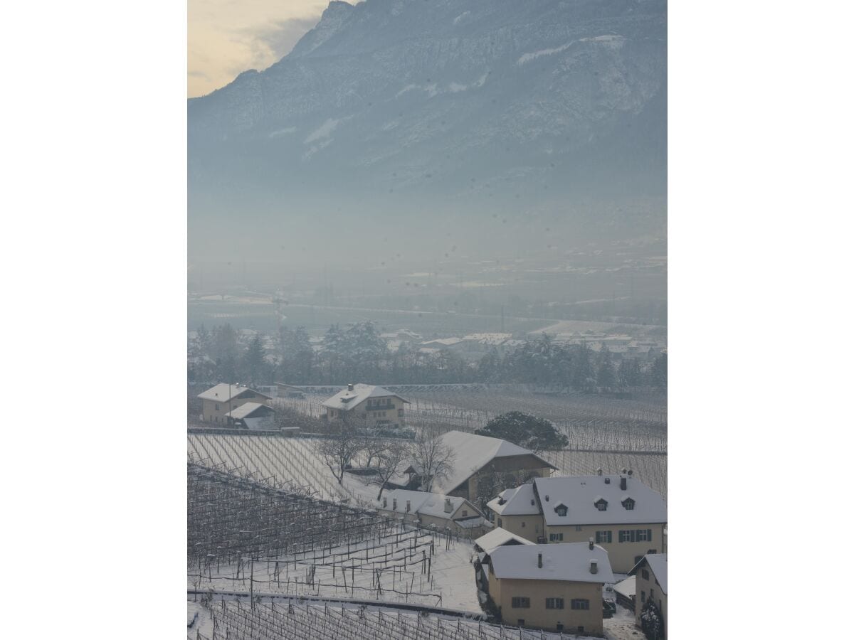 Blick auf Terlan im Winter