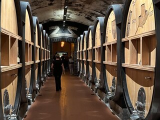 Appartamento per vacanze Terlan Ambiente 31