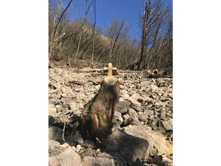 Vakantieappartement Terlan Omgeving 37