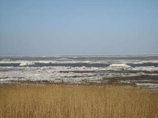 Eisschollen im Watt