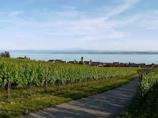 Hagnau am Bodensee, idyllisches Winzer- und Fischerdorf