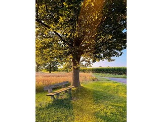 Landschaft