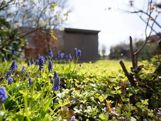 Ferienhaus Hasselberg Außenaufnahme 13