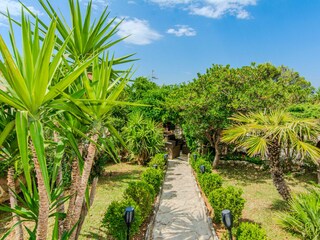 Villa Maslenica Outdoor Recording 19