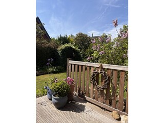 Blick in den Garten