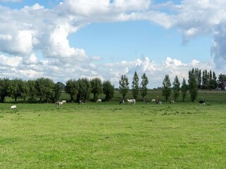 Cottage Poperinge Environment 33