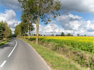 Cottage Poperinge Environment 34