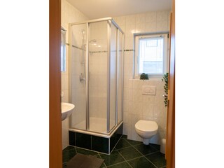 Appartamento per vacanze Hippach Caratteristiche 7