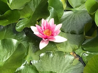 Appartamento per vacanze Hippach Ambiente 19