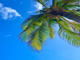 Villa Jan Thiel Omgeving 31