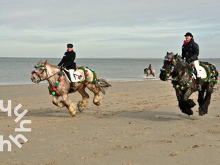 Chalet Renesse Omgeving 23