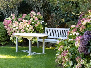 Casa de vacaciones Kampen Características 28