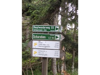 Vakantieappartement Arnbruck Omgeving 23