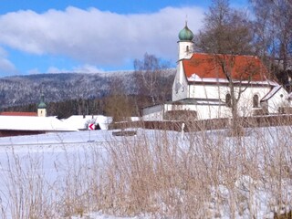 Appartamento per vacanze Arnbruck Ambiente 33