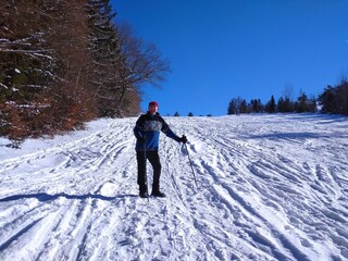 Apartamento de vacaciones Arnbruck Entorno 28