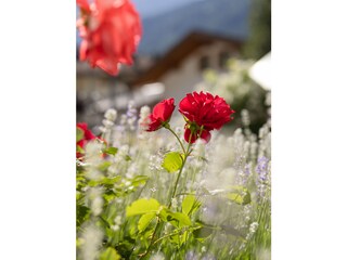 Vakantieappartement Neustift im Stubaital Buitenaudio-opname 9