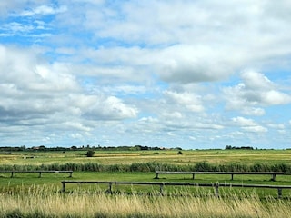 Ferienhaus Højer  27