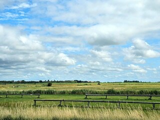 Maison de vacances Højer  42