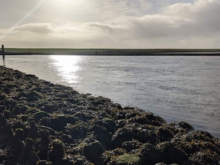 Ferienhaus Højer  17