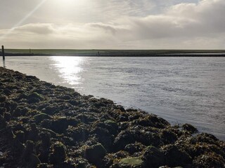 Maison de vacances Højer  17