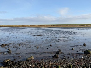 Ferienhaus Højer  8