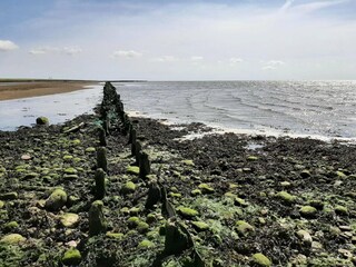 Ferienhaus Højer  20