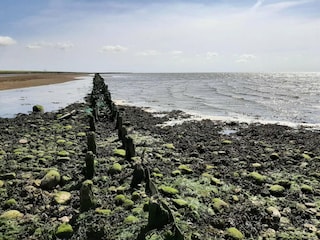 Ferienhaus Højer  41