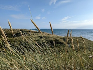 Holiday house Fjand  11