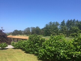 Holiday house Skagen Outdoor Recording 4