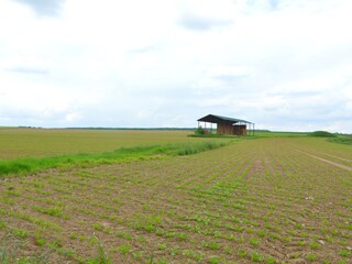 Ferienhaus Maredret Umgebung 26