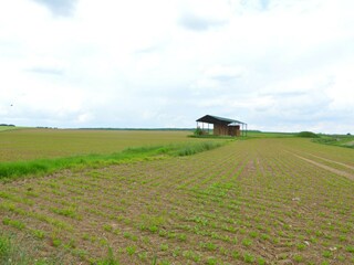 Vakantiehuis Maredret Omgeving 35