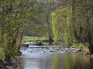 Holiday house Maredret Environment 33