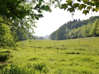 Vakantiehuis Maredret Omgeving 32