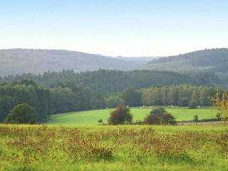 Vakantiehuis Maredret Omgeving 29