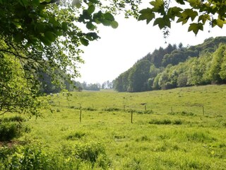 Vakantiehuis Maredret Omgeving 32