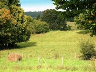 Vakantiehuis Maredret Omgeving 33