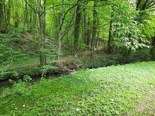 Maison de vacances Tellin Environnement 35