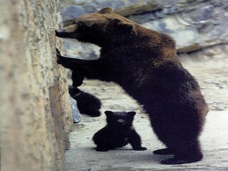 Vakantiehuis Tellin Omgeving 37