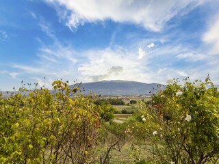 Villa Bevagna Environnement 40