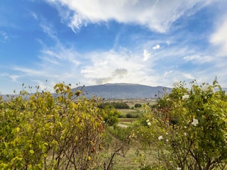 Villa Bevagna Omgeving 40