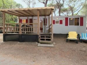 Parco vacanze Casa mobile indipendente con terrazza vicino al mare sulla costa adriatica - Lido di Spina - image1